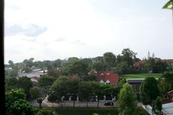 Blk 8 Farrer Gardens (Bukit Timah), HDB 3 Rooms #625109831